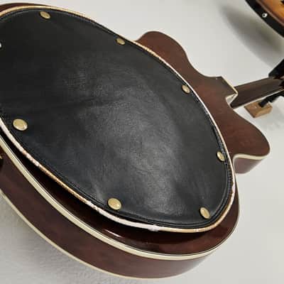 1967 Gretsch 6122 Chet Atkins Country Gentleman Walnut Brown Vintage Electric Guitar image 12