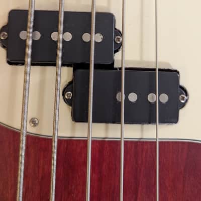 Alien Audio Constellation 5 String Bass image 6