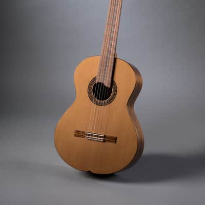 ATR Classical 2025 - French polish image 1