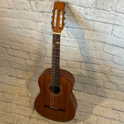 Vantek VIC-1 Classical Acoustic Guitar image 6