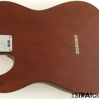 American Performer Fender Timber Telecaster Tele LOADED BODY, Sassafras Mocha image 3