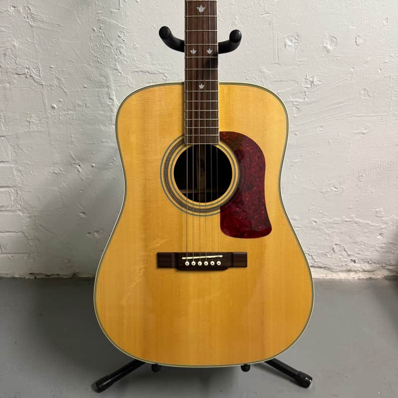 Washburn D21S - Spruce/Rosewood image 1