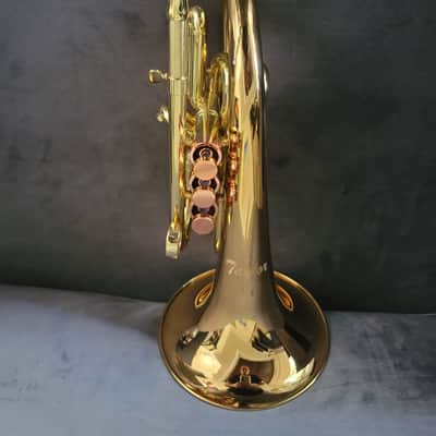 Carol Brass Compact Flugelhorn / Taylor Phat Puppy 2023 - Polished / Lacquered image 15