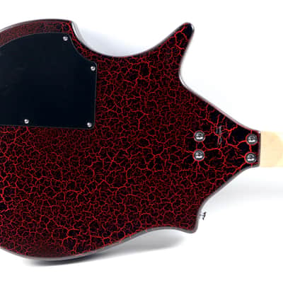 Rogue STR-1 Sitar Guitar image 4
