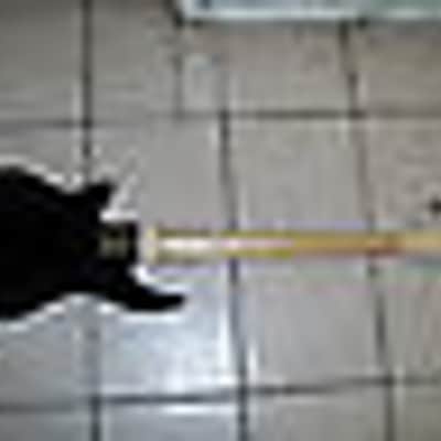 10 string bass guitar, 5 pair of 10 string image 4