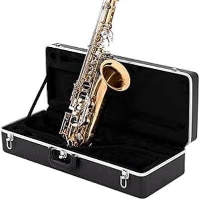 Antigua Vosi Eb Tenor Saxophone Outfit With Case image 2