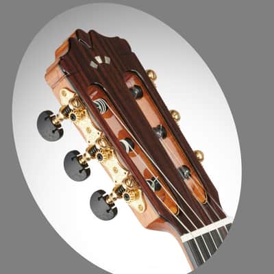 Cordoba C12-CD Cedar Classical Guitar 2026s - Natural - Brand New image 7