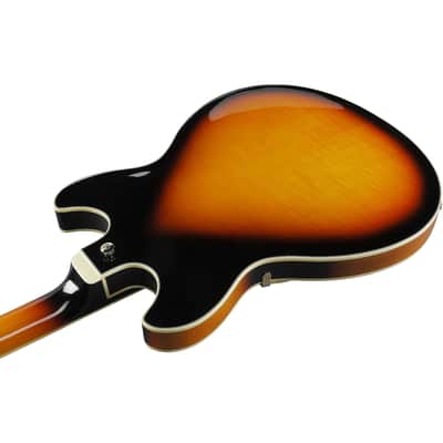 Ibanez Artstar Standard AS113-BS 6-String Semi Hollow Body Electric Guitar with Macassar Ebony Fretboard, Right-Handed, Brown Sunburst image 9