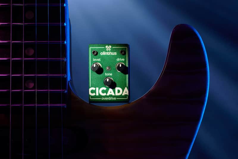 Olinthus Cicada perched on a guitar body
