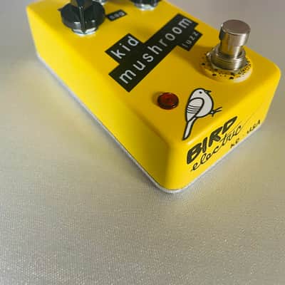 Kid Mushroom Fuzz (Fuzzly Bear Clone) image 2