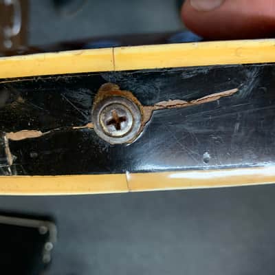 Royal Artist  Bass 60’s Red Sunburst image 18