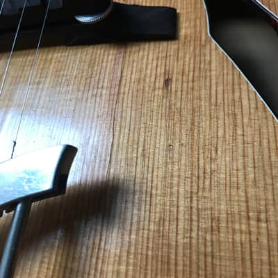 Soli / Hanika Record archtop guitar 50s - German vintage image 18