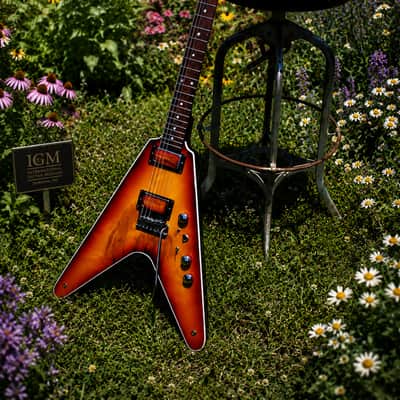 O'VADKA FLYING V 1993  with Stratocaster sound and feel. Only one. Incredible sound. Museum specimen guitar. image 2