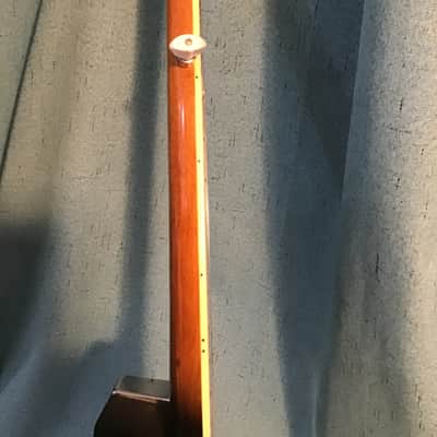 R.W. Jameson 5 String Banjo 2020s - Natural gloss image 12