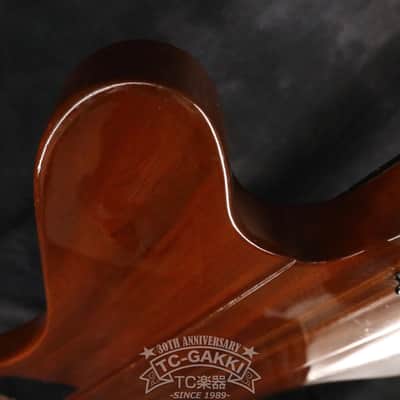 Gibson 1991 Thunderbird IV image 9