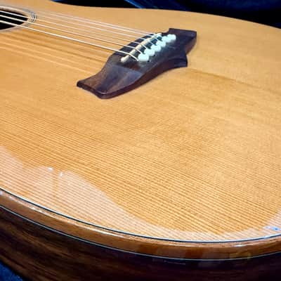 🌟 Tanglewood Exotic Java TWJPE Parlour Electro Acoustic + Hard Case~Stunning 🌟 image 3