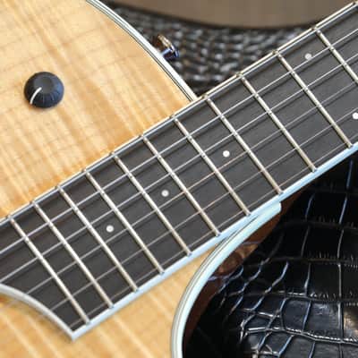 2006 Taylor T5-S1 Electric Guitar Natural Flame Top + OHSC image 8