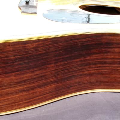1979 Yairi YW-500P D-35 style + New Gig Bag plus more image 15