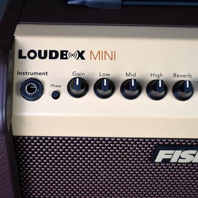 Fishman PRO-LBT-500 Loudbox Mini + Bluetooth image 14