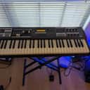 Hammond Sk1 61-key Portable Combo Organ w/ gig bag roraty pedal and power supply and gig bag