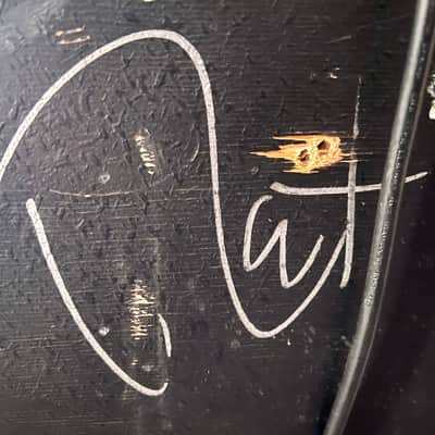 Pantera Rex Brown ACTUAL BASS MAIN TOUR RIG ONE OF A KIND Dimebag Cfh Svt Ampeg image 8