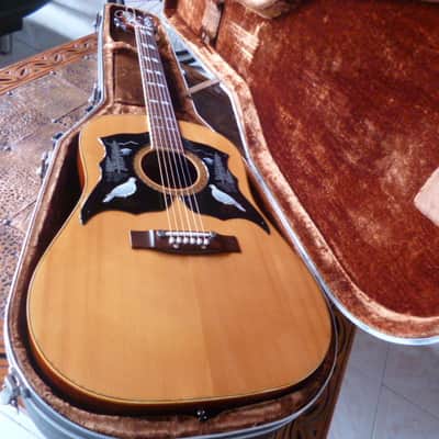 Immagine Ensenada  wg 66 Dreadnaught folk 1970 natural - 1