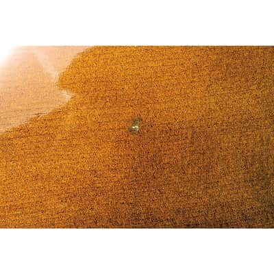 Stentor 1108 Student II Series Cello Outfit Regular 4/4 Size image 5
