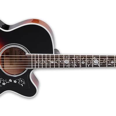 Takamine EF450C TT Gloss Brown Sunburst w/ Semi-Hard Case (JTAKEF450CTTBSB) image 2