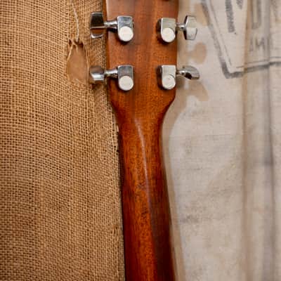 Martin D-25K 1980 - Natural image 11