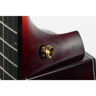 Breedlove Oregon CE Limited Edition Concert Acoustic-Electric Guitar Regular Old Fashioned image 6