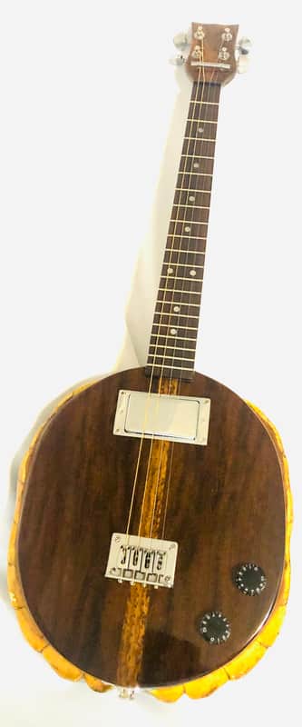 Turtle Shell 4 string electric tenor guitar image 1