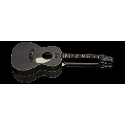 PRS SE P20E Dog Hair - Acoustic Guitar image 1