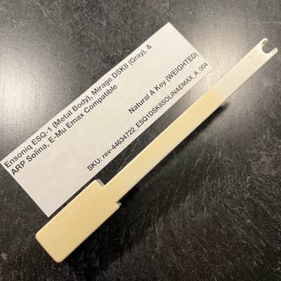 Ensoniq Replacement Weighted A Key (Ensoniq Keybeds) for Ensoniq ESQ-1 (metal) & Mirage DSK8 (gray), E-Mu Emax I Keyboard, ARP Solina (B417)