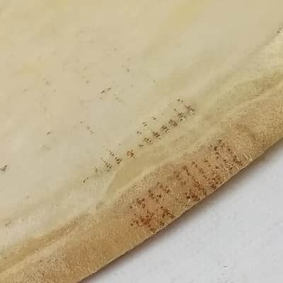 Gretsch Snare 15" Calf Skin Drum Head Slunk Resonant Vintage 40s Broadkaster USA image 3