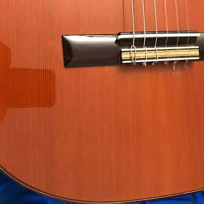 Juan Estruch 1981 Model 1 "Chet Atkins" Signed Yellow Label, Concert Classical Guitar image 13