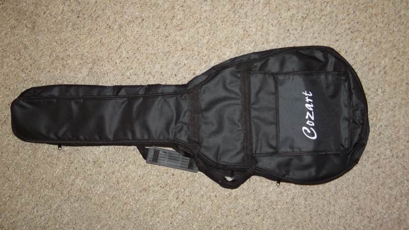 Cozart Gig Bag image 1