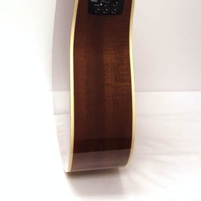 Alvarez AD60-12CE Artist Series 12-String Dreadnought Acoustic-Electric Guitar image 4