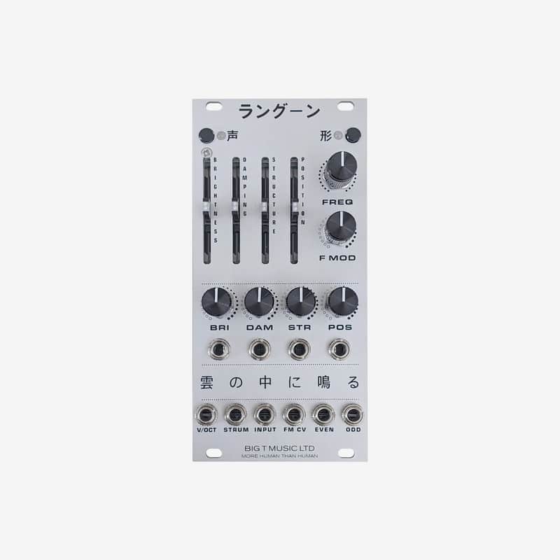 Blade Runner inspired Rangoon Eurorack Module (Reworking of Mutable Rings) with Milled Aluminium Panel Silver image 1