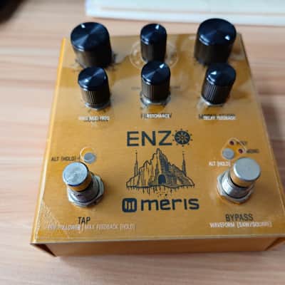 Meris Enzo 2018 - Gold image 1