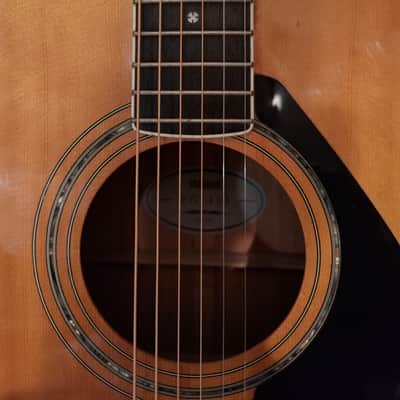 Yamaha FG-430 with Hard Case + fresh set up image 15