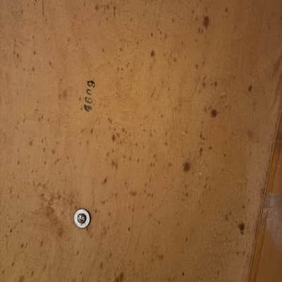 Ludwig 26” Calfskin Drum Heads PAIR (x2) 1946 image 11