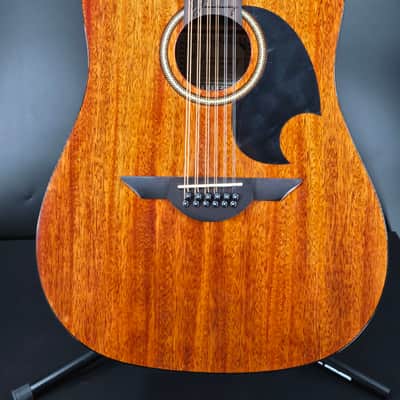 H. Jimenez LGD1-CENM  Glossy Guitarra Doble  Glossy Natural Mahogany Cutaway Electric with Hard wood case... image 1