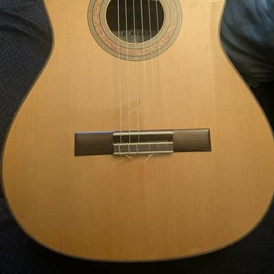 Steve Allen Solid Granadillo and Cedar classical guitar image 2