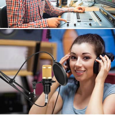 Recording Microphone Mic Stand Studio Condenser Microphone Vocal Recording KTV Karaoke Microphone image 8