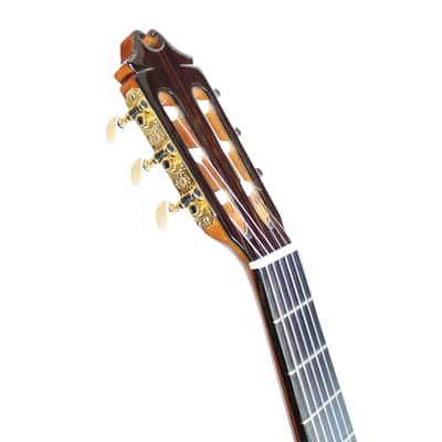 Juan Hernandez Concert spruce image 13
