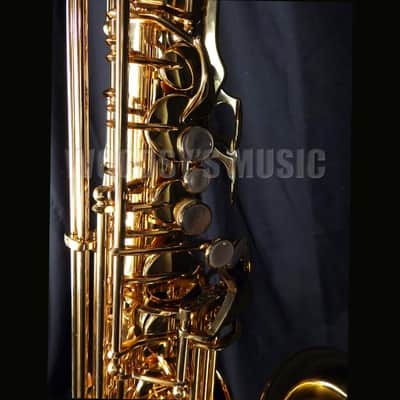 Yanagisawa AWO10 Elite Model Alto Saxophone - Lacquered Brass image 2