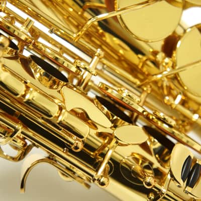 【Special price】 Yanagisawa A-WO1 [AW01] Professional Alto Saxophone image 12