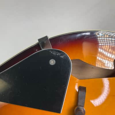 Rogue Rogue A-Style Mandolin RM100A Right Hand Sunburst with Case image 17