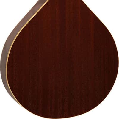 Gold Tone OM-800+ A-Style Acoustic-Electric Octave Mandolin, Solid Spruce Top, Natural image 3