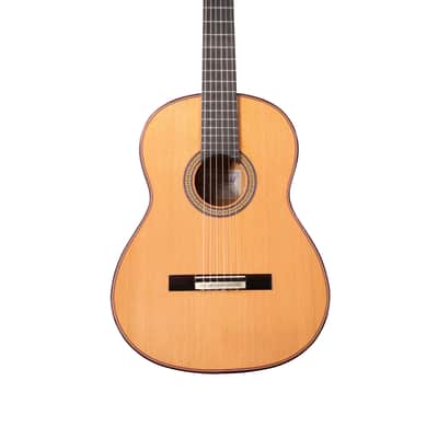Manuel Adalid Homenaje - Cedar Double top/Solid Ziricoté back/sides - Handmade in Spain - 2025 image 1